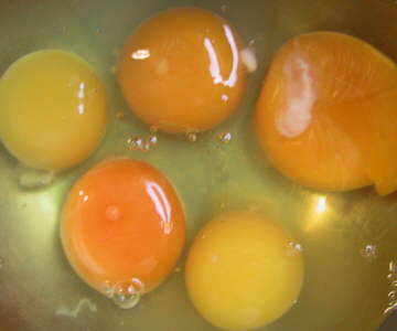 compare the colors of the yolks