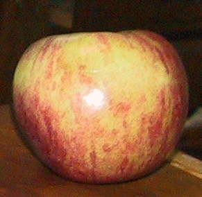 cortland apple grown in Western PA
